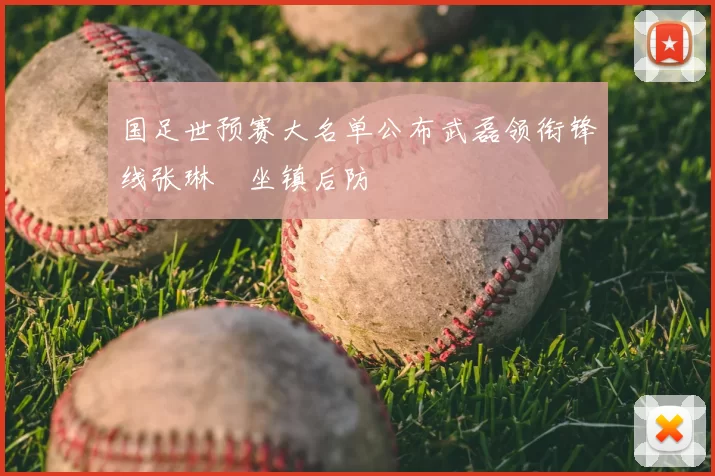 国足世预赛大名单公布武磊领衔锋线张琳芃坐镇后防